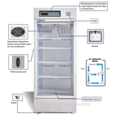 Tủ mát bảo quản mẫu 2 – 8oC, 120 lít, BXC-V120M Biobase