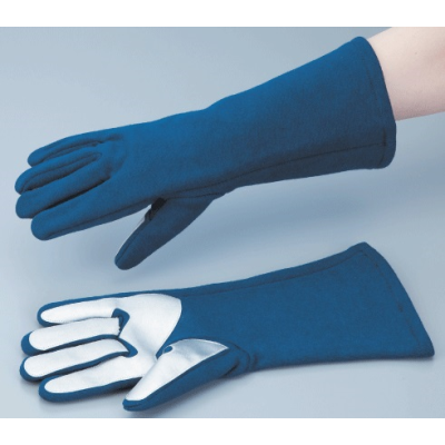 Gloves-LMS.jpg
